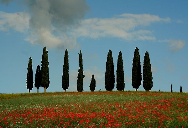 Toscana